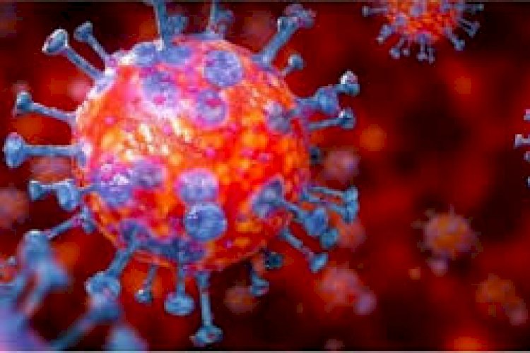 করোনায় আরও ২৫ মৃত্যু, শনাক্ত ১৩১৮