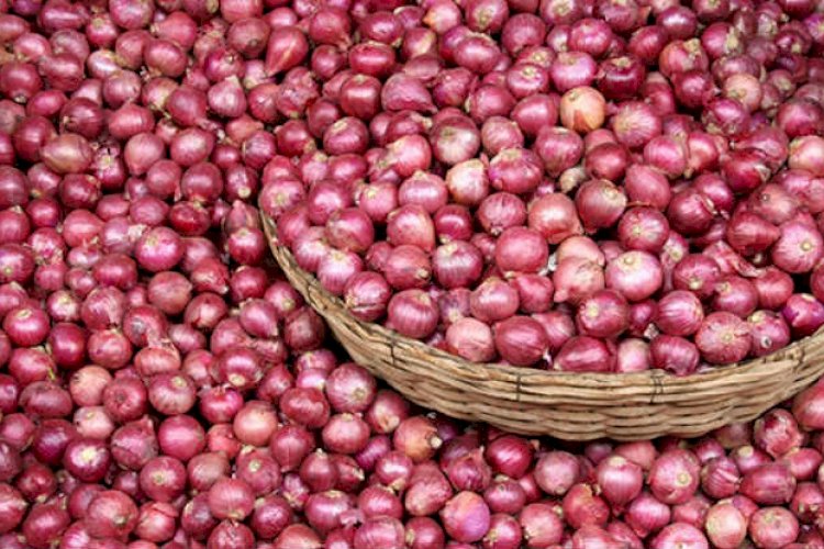 ভারত থেকে আবারো পেয়াজ আমদানি শুরু