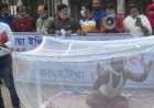 অভিনব প্রতিবাদ: রাস্তায় মশারি টানিয়ে ক্ষোভ
