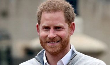 নিয়মিত অফিস করছেন প্রিন্স হ্যারি