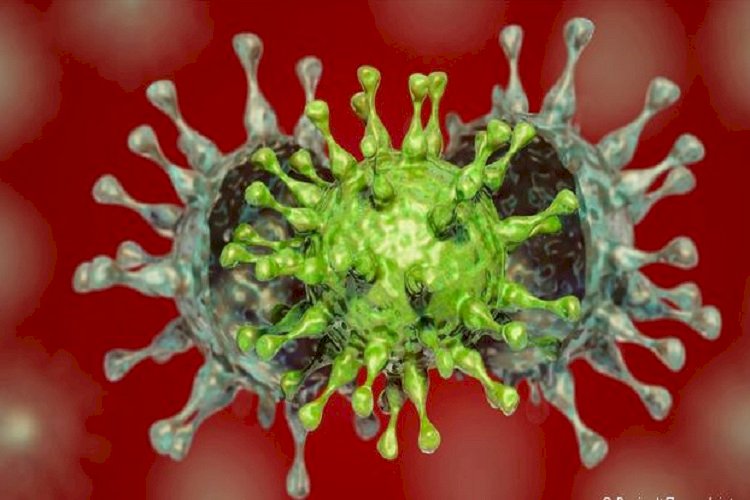 করোনার ভারতীয় রূপ কতটা ভয়ংকর?