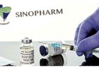চীন থেকে সিনোফার্মের আরও ১৭ লাখ ৭০ হাজার ডোজ টিকা আসছে
