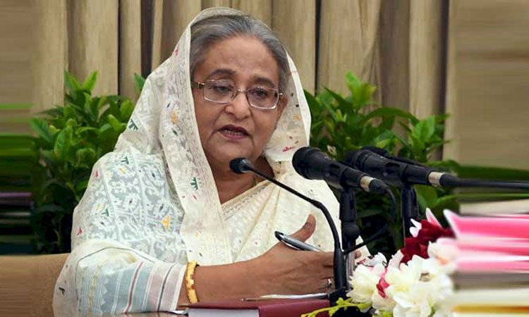 কৃষিপণ্য রফতানি করতে প্রধানমন্ত্রীর তাগিদ