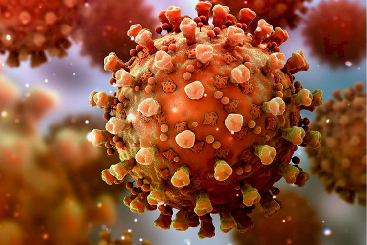 করোনা শনাক্তের হার বেড়ে দাঁড়িয়েছে ৩ দশমিক ৩৭ শতাংশ